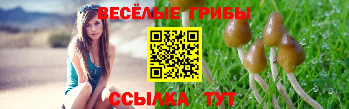 купить закладку  Вход с VPN  Сергиев Посад  Псилоцибиновые грибы Magic Shrooms 